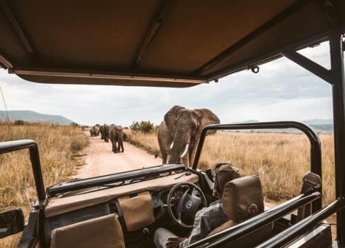 06 DAYS KENYA BUDGET SAFARI