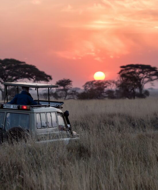 7 DAYS PRIVATE KENYA TANZANIA SAFARI