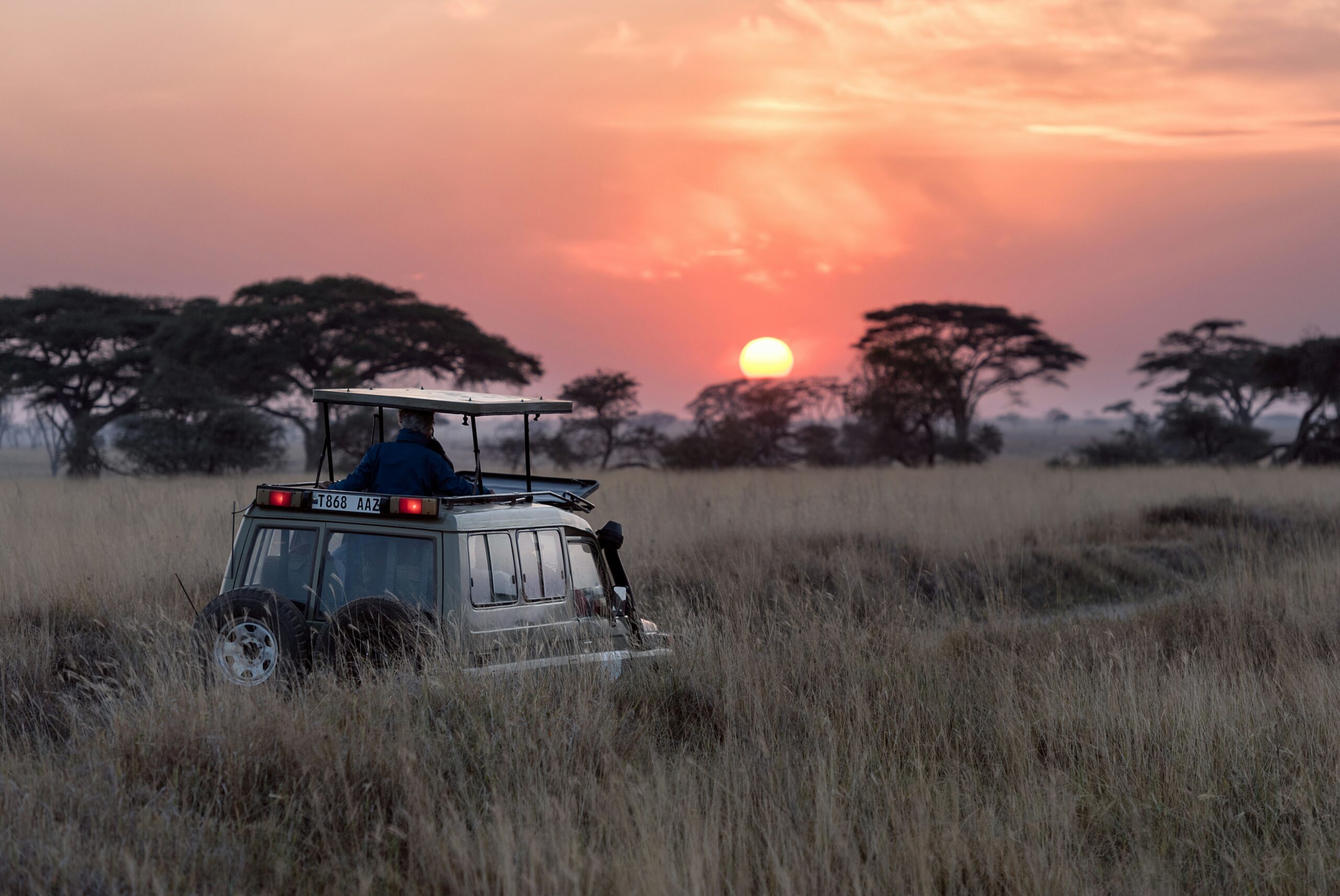 7 DAYS PRIVATE KENYA TANZANIA SAFARI