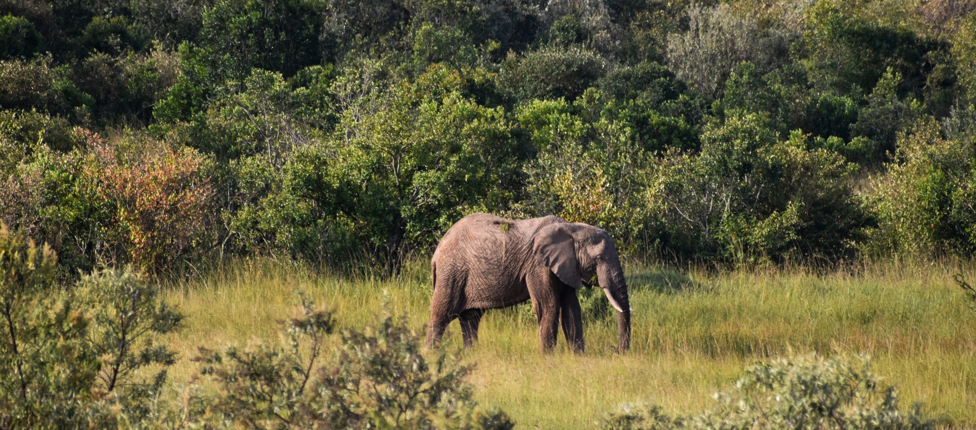 06 DAYS TANZANIA CAMPING SAFARI