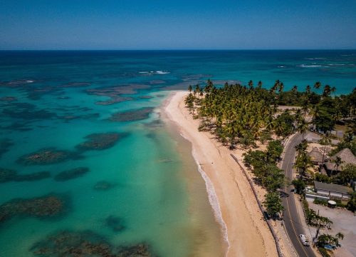 Diani Beach Excursions: The Perfect Safari & Beach Holiday in Kenya